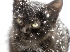  Дождь, снег и гололед прогнозируют на Кубани 