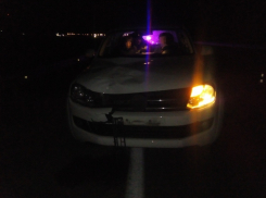 На Кубани водитель «Фольксвагена» насмерть сбил человека на трассе