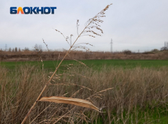 Губернатор отдал 10 га сельхозземель в Краснодаре под утилизацию мусора