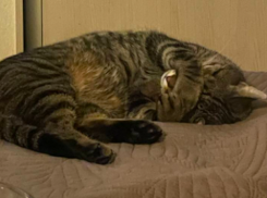 Дожди продолжат заливать Краснодарский край