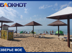 Минприроды противится строительству нового города-курорта в Краснодарском крае из-за птиц