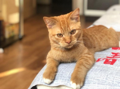 В Краснодаре обещают сильную жару 18 июля