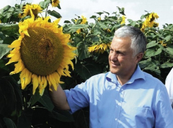  Свой пост покинул глава Динского района 