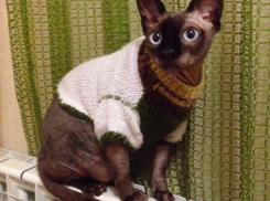 В Краснодарском крае усилится мороз