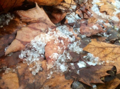 На Кубани объявили экстренное предупреждение по заморозкам 