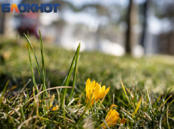 До 20 градусов тепла и немного дождей: какой будет погода в Краснодаре в марте