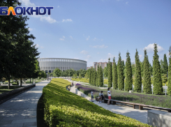 В парке «Краснодар» бесплатно покажут авторское кино