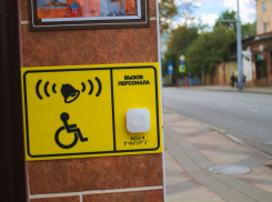 В Краснодаре не нашли подходящий дом для девочки-инвалида