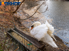 В четверг в Краснодаре потеплеет до 9 градусов