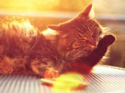 В Чистый четверг на Кубани тепло и солнечно