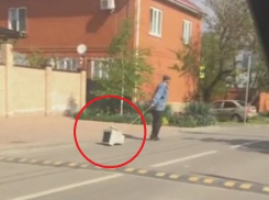 «Выгул» техники в Краснодаре продолжается: теперь мониторы на поводках