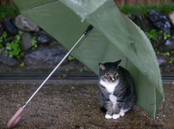 На Кубани пасмурно, пройдут кратковременные дожди