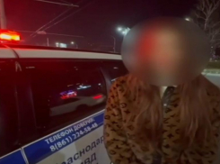 В Краснодаре лихачка публично извинилась за экстремальную езду по городу 