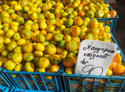 Мандарины от 90 рублей и яйца за 180 привезли на ярмарки выходного дня в Краснодаре