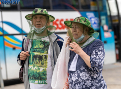 «Кровопийцы не дают покоя»: краснодарцев атаковали насекомые
