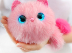 Из-за игрушки эвакуировали почтовое отделение на Кубани