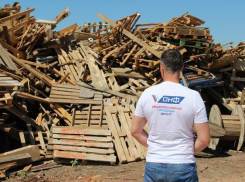 «Будущее за глубокой переработкой мусора»: активисты ОНФ Кубани