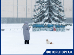 Засыпанные улицы, транспортный коллапс и недовольные южане: Краснодар «утонул» в снегу