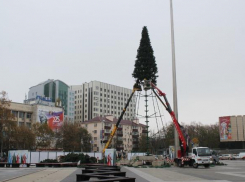В Краснодаре начали установку главной городской елки 