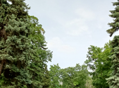 Главное в Краснодаре: Ахеджак и мэрия снова судятся, самолеты могут полететь, землетрясение случилось, онкобольные подрались, а «отжатое» жилье не вернули