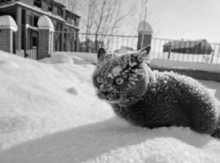  На Кубани температура опустится почти до -30 градусов 