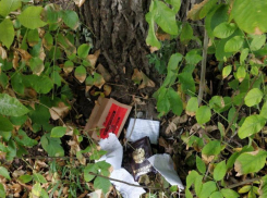 Краснодарцы выкидывают свои военные билеты