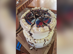 Агент Киева доставил отравленный торт для 77 лётчиков в Краснодарском крае