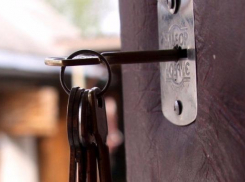 Обокравшая своих соседей женщина пряталась от полицейских за деревом