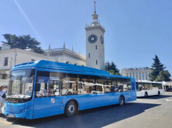 Общественный транспорт Сочи в течение трех лет переведут на газ 