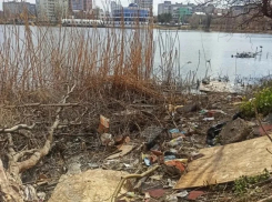 В Краснодаре прошла акция по очистке Покровских озёр