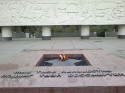 В Краснодаре на Вечном огне мужчина исправил Z на свастику и получил 15 суток 