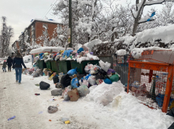 Мусороуборочная компания в Краснодаре прокомментировала коллапс с отходами