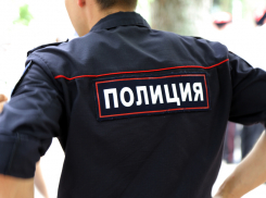 Полиция проведет проверку из-за видео с избиением ребенка в Краснодаре