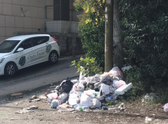 В Сочи возле МФЦ разбросали шприцы с неизвестной красной жидкостью