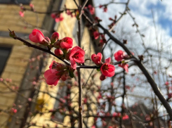  Март не радует южан: в Краснодаре синоптики обещают снег и 4 градуса тепла 