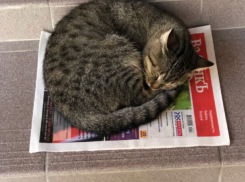 До +3 градусов опустится температура воздуха в Краснодарском крае