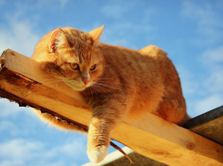 Синоптики прогнозируют очередное потепление на Кубани