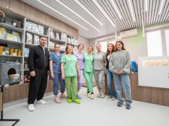 Хирургические инструменты для хвостиков: «НВМ» поддержала приют «Краснодог»