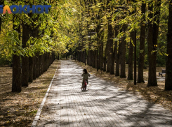 Во время возвращения жары закроют Ботанический сад в Краснодаре