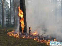 В юго-западной части Краснодарского края объявлена пожароопасность