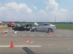 Двое взрослых и 3-летний ребенок погибли в жутком ДТП на Кубани