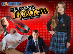 Гуляющие свиньи, показательная порка и жадные депутаты: недетские новости Краснодара