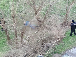 В Краснодаре на улице обнаружили труп мужчины с огнестрельным ранением