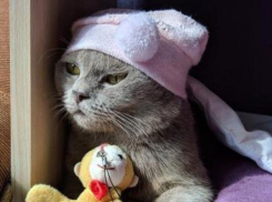 Зимняя прохлада пришла в Краснодарский край в середине декабря