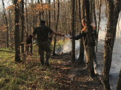 На Кубани продолжают бороться с лесными пожарами 