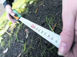 На Кубани могут начать выделять землю без торгов