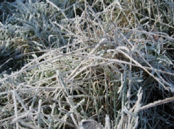 Кубань ждут заморозки перед Пасхой