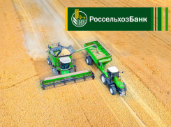 РСХБ направил на развитие АПК 5,4 трлн рублей 