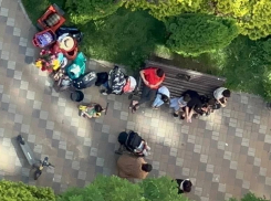 Бастрыкин потребовал доклад о проверке буйного семейства в одном из ЖК Краснодара