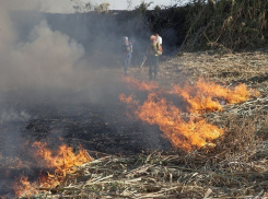 Экспедиция «Гринписа», уезжая с Кубани, потушила еще один пожар 